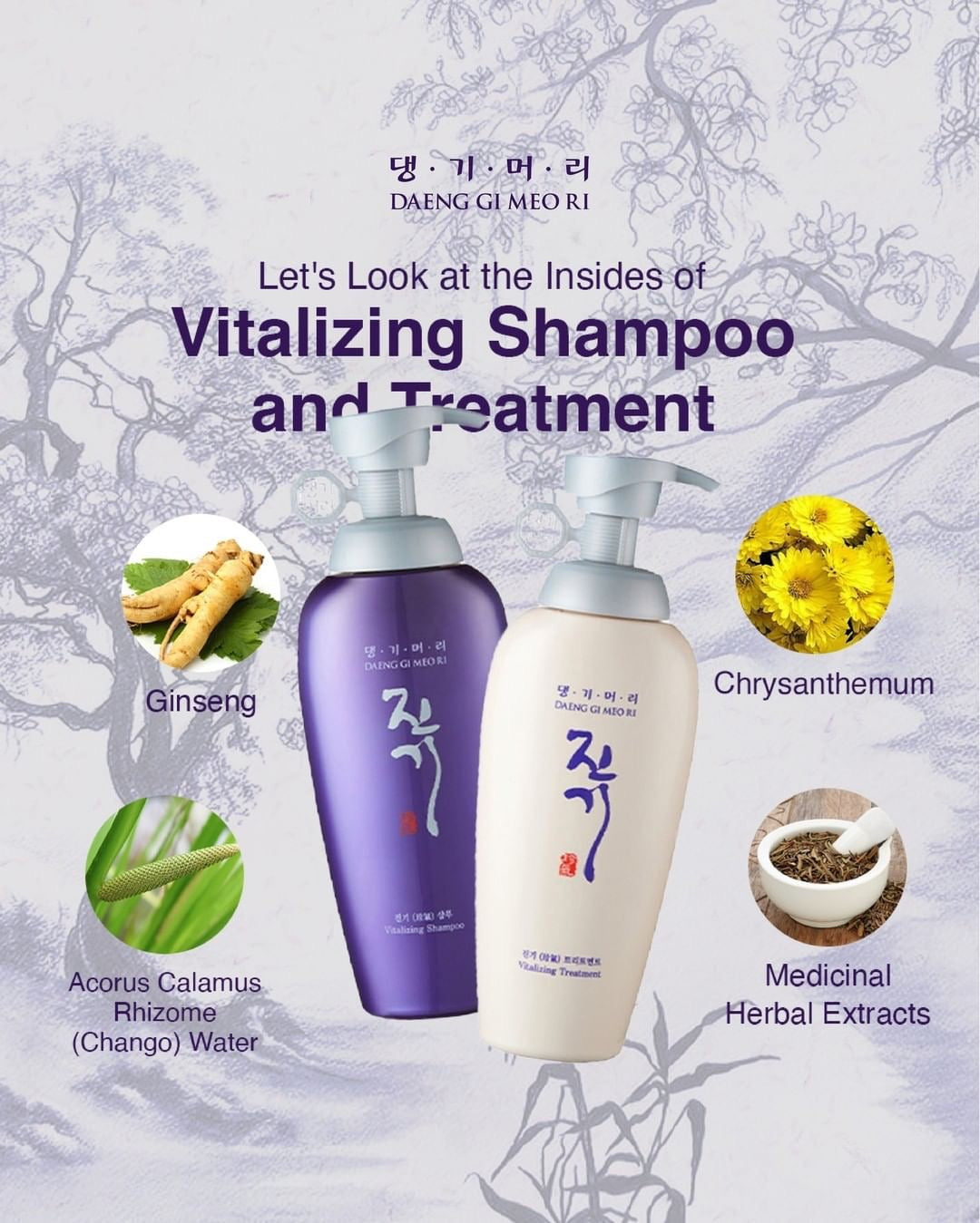 Daeng Gi Meo Ri Purple Rivitalizing Shampoo 500ml